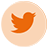 twitter logo